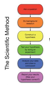 The Scientific Method Bainbridge Academy 2